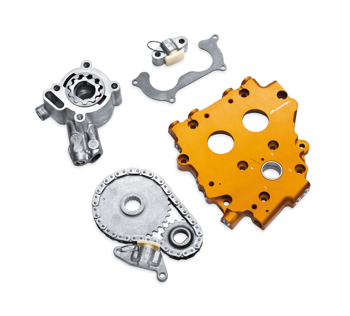 は*。様 Harley-Davidson 25284-11 廃番　カムプレートキ Harley-Davidson 25284-11 Screamin' Eagle Hydraulic Cam Chain