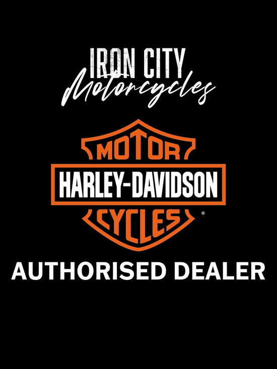 Harley Davidson Sport Luggage Rack for HoldFast Sissy Bar Upright - Gloss Black 50300125