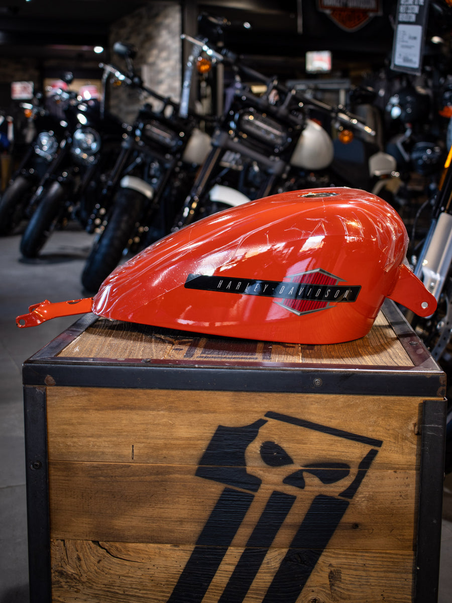 IMG_3697_1200x1200.jpg?v=