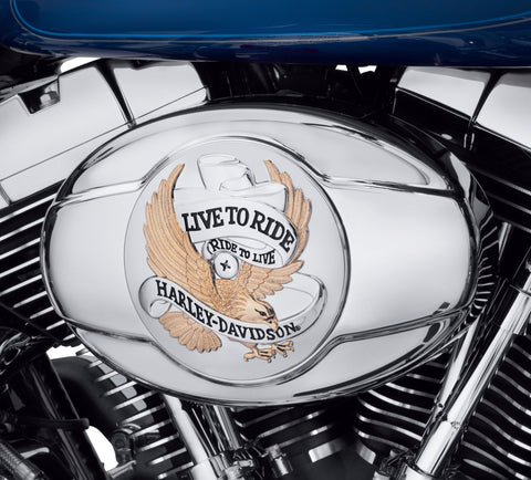 Harley Davidson 29328-99 Live To Ride Gold Air Cleaner Trim KIT TRIM,A/C,W/L 2 R LOGO,FLT