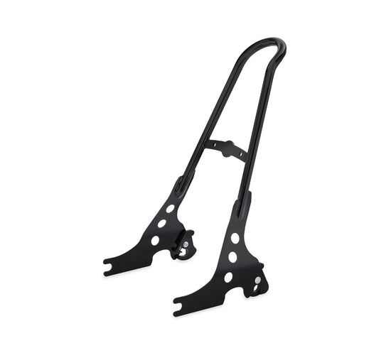 Harley Davidson One-Piece H-D Detachables Sissy Bar Upright