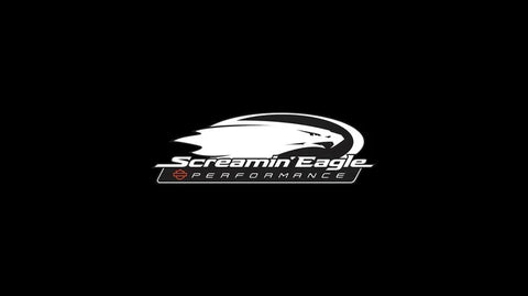Harley-Davidson ® Screamin' Eagle 65600389 Street Cannon Muffler Screaming