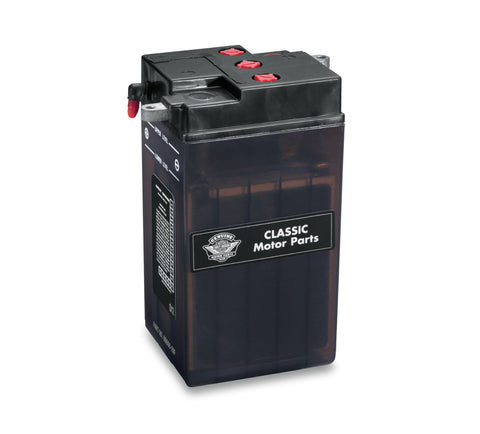 Harley Davidson 66006-29F 6V Conventional Battery - Dry BATTERY DRY CHARGED FL/GE