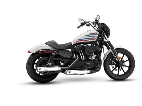 Dr. Jekill & Mr. Hyde Shorty Chrome Exhaust Harley-Davidson Iron 883 & Superlow 2017–2020 EP-140071