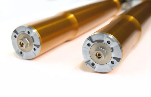 Öhlins Front Fork (FGRT 308)