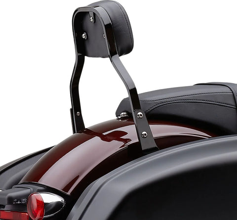 Cobra Detachable Sissy Bar Black (602-2031B)