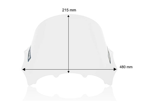 WRS Race Windscreen Clear (BM100T)