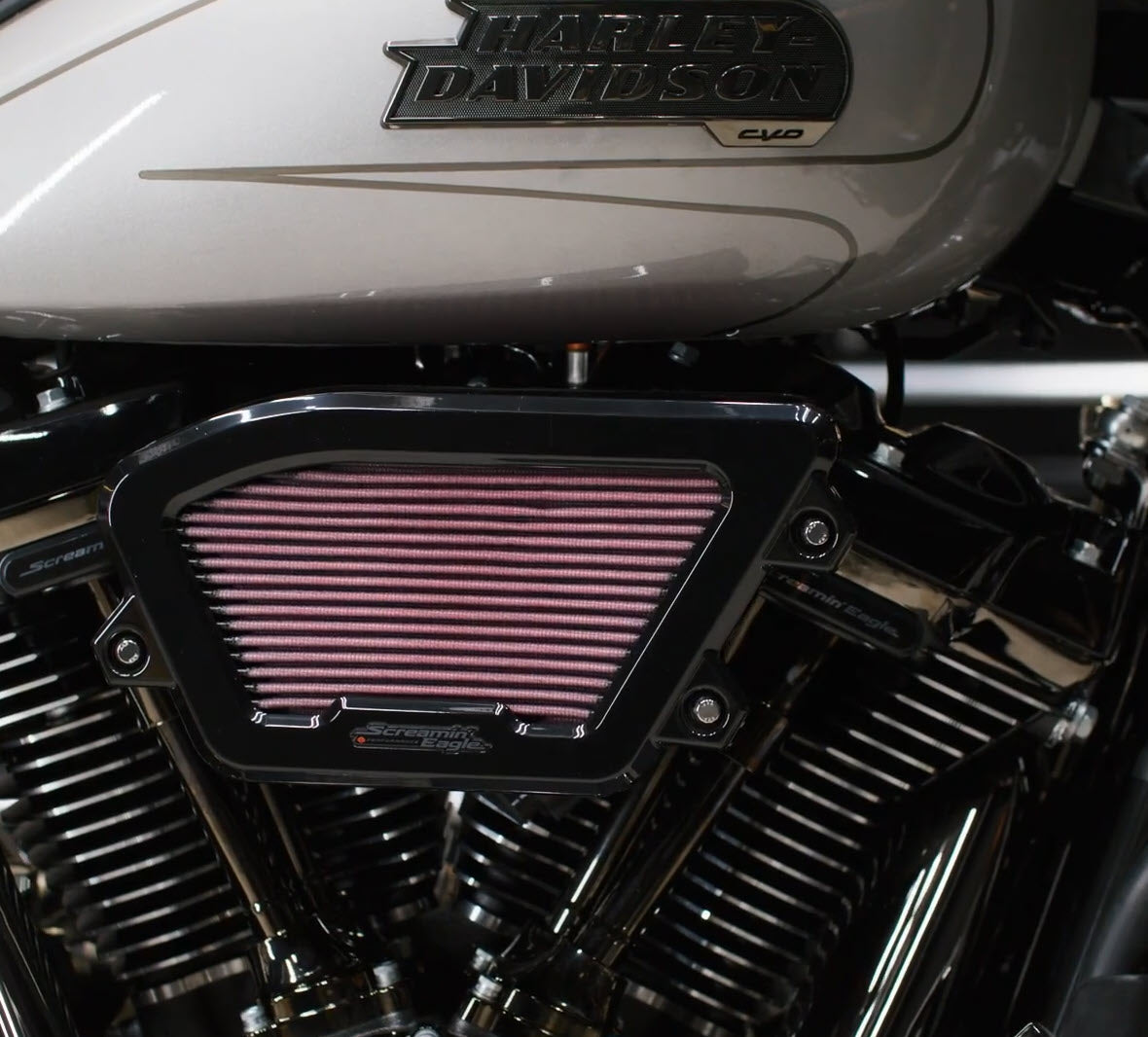 Harley-Davidson 29400459 Screamin' Eagle Air Cleaner Extreme Wedge Scr ...