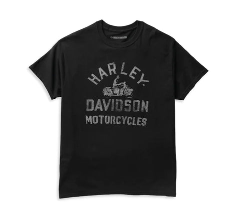 Harley-Davidson® Men's Original T-Shirt 96332-22VM
