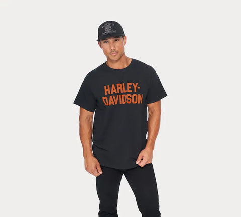 Harley-Davidson® Men's Foundation T-Shirt 96366-22VM
