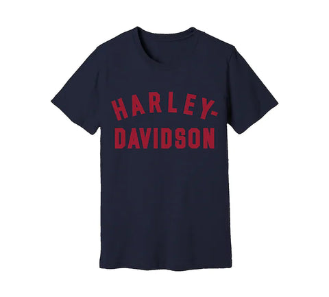 Harley-Davidson® Men's Staple T-Shirt 96525-22VM