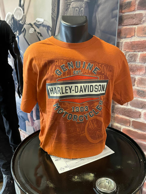 Leeds Dealer T-Shirt H-D Ride Vintage Harley Davidson Mens Harley Davidson Direct