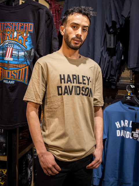 Harley-Davidson® Men's Foundation T-Shirt 96367-22VM